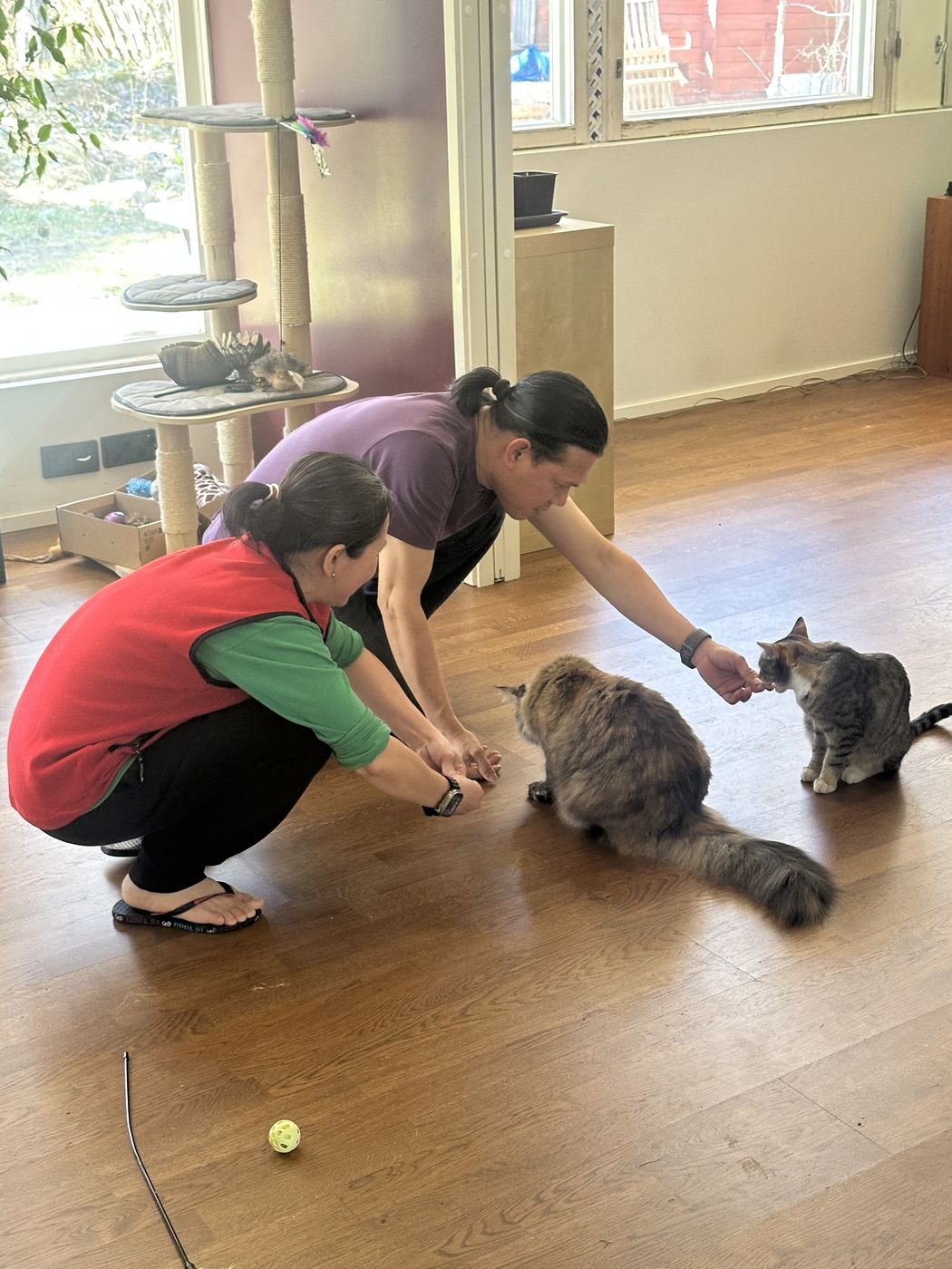 Kareen and Eric with two cats at a pet-friendly Helsinki home